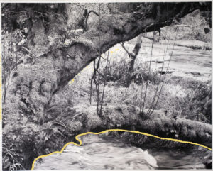 Fracture 5